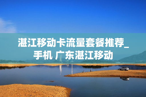 湛江移动卡流量套餐推荐_手机 广东湛江移动