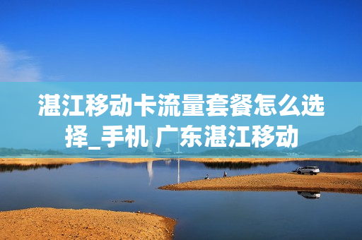 湛江移动卡流量套餐怎么选择_手机 广东湛江移动