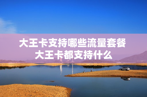 大王卡支持哪些流量套餐 大王卡都支持什么