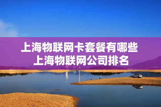 上海物联网卡套餐有哪些 上海物联网公司排名