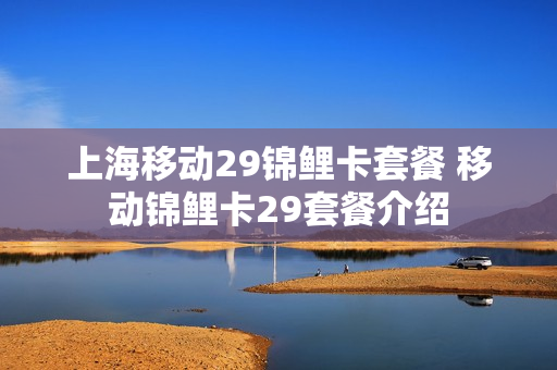 上海移动29锦鲤卡套餐 移动锦鲤卡29套餐介绍