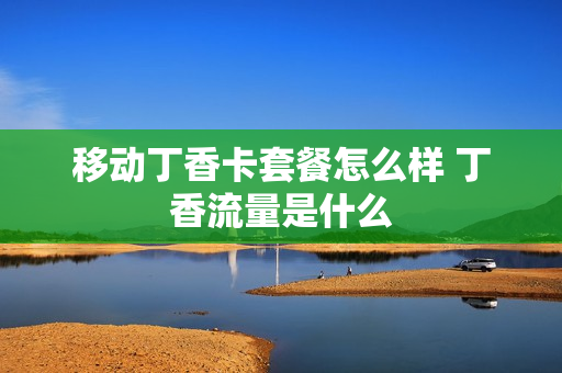 移动丁香卡套餐怎么样 丁香流量是什么