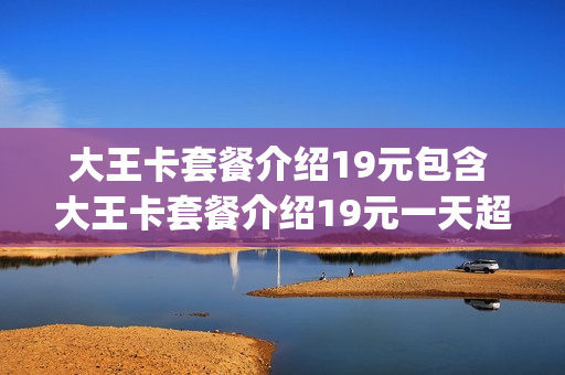 大王卡套餐介绍19元包含 大王卡套餐介绍19元一天超过1g