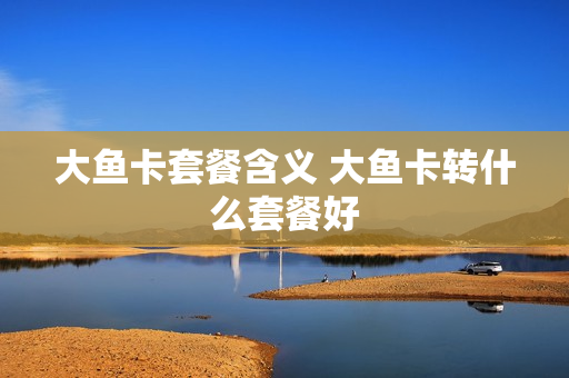 大鱼卡套餐含义 大鱼卡转什么套餐好