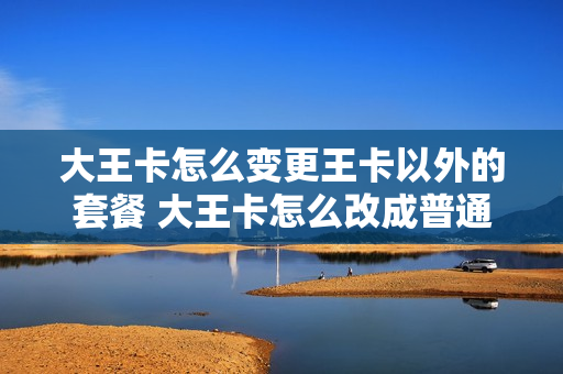 大王卡怎么变更王卡以外的套餐 大王卡怎么改成普通套餐