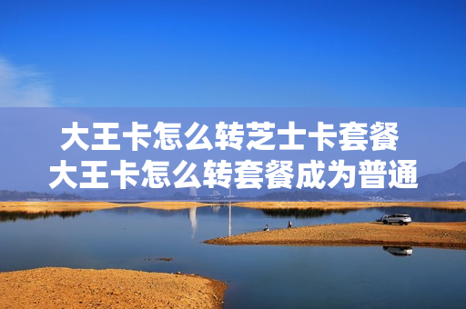 大王卡怎么转芝士卡套餐 大王卡怎么转套餐成为普通卡