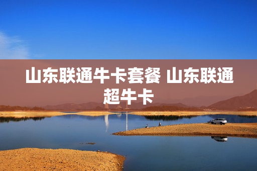 山东联通牛卡套餐 山东联通超牛卡