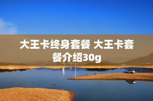 大王卡终身套餐 大王卡套餐介绍30g