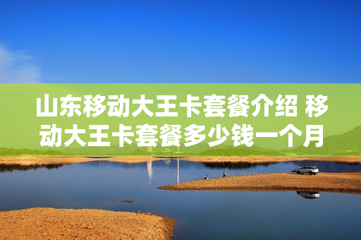 山东移动大王卡套餐介绍 移动大王卡套餐多少钱一个月
