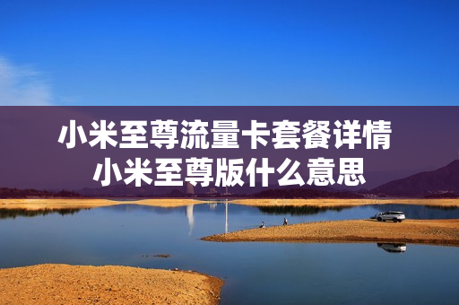 小米至尊流量卡套餐详情 小米至尊版什么意思