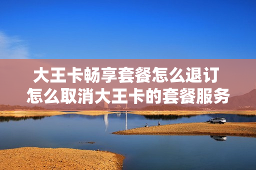 大王卡畅享套餐怎么退订 怎么取消大王卡的套餐服务