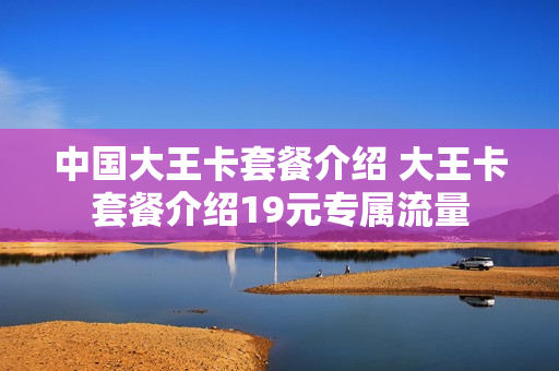 中国大王卡套餐介绍 大王卡套餐介绍19元专属流量