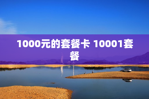 1000元的套餐卡 10001套餐