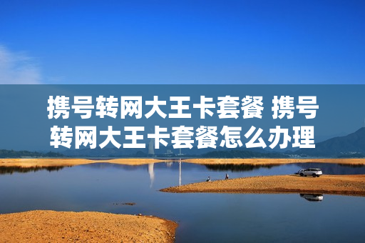 携号转网大王卡套餐 携号转网大王卡套餐怎么办理