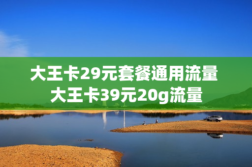 大王卡29元套餐通用流量 大王卡39元20g流量