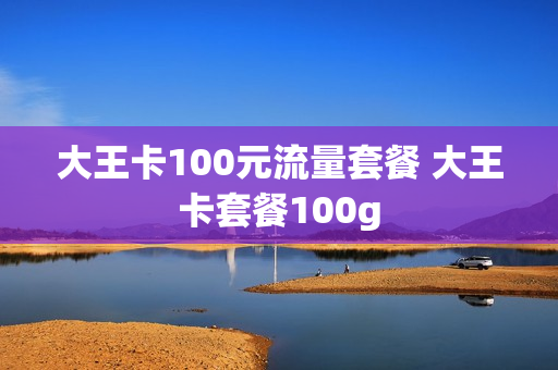 大王卡100元流量套餐 大王卡套餐100g