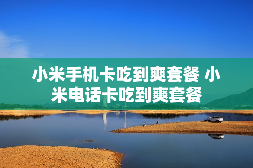 小米手机卡吃到爽套餐 小米电话卡吃到爽套餐