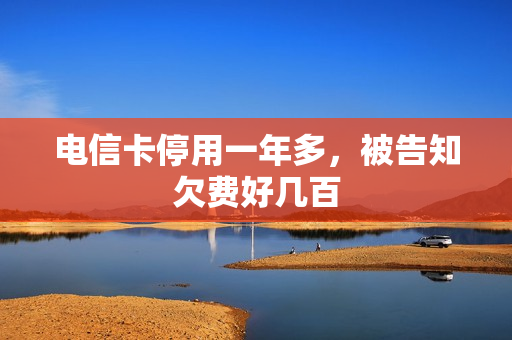 电信卡停用一年多，被告知欠费好几百