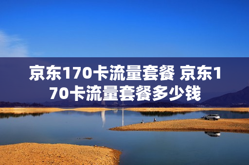 京东170卡流量套餐 京东170卡流量套餐多少钱