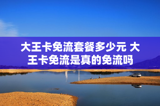 大王卡免流套餐多少元 大王卡免流是真的免流吗