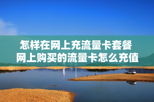 怎样在网上充流量卡套餐 网上购买的流量卡怎么充值