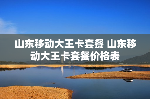 山东移动大王卡套餐 山东移动大王卡套餐价格表