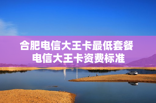 合肥电信大王卡最低套餐 电信大王卡资费标准