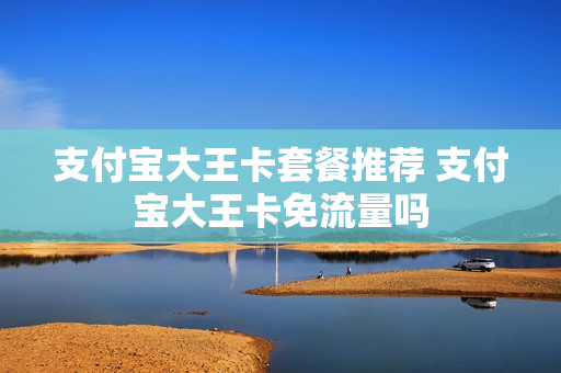 支付宝大王卡套餐推荐 支付宝大王卡免流量吗