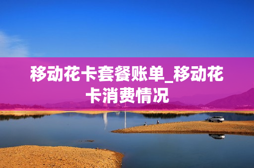 移动花卡套餐账单_移动花卡消费情况