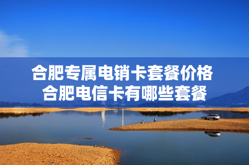 合肥专属电销卡套餐价格 合肥电信卡有哪些套餐