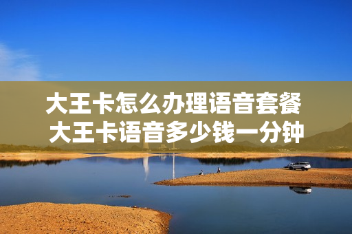 大王卡怎么办理语音套餐 大王卡语音多少钱一分钟