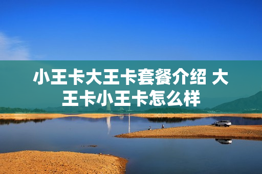 小王卡大王卡套餐介绍 大王卡小王卡怎么样