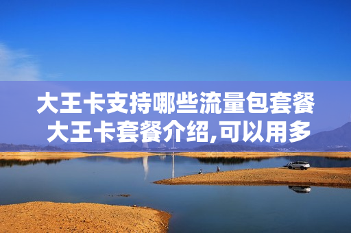 大王卡支持哪些流量包套餐 大王卡套餐介绍,可以用多少流量