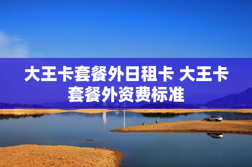 大王卡套餐外日租卡 大王卡套餐外资费标准