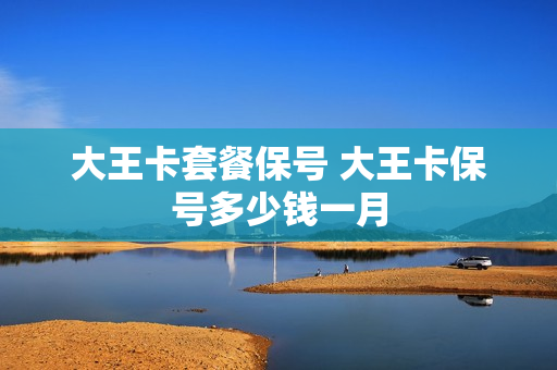 大王卡套餐保号 大王卡保号多少钱一月