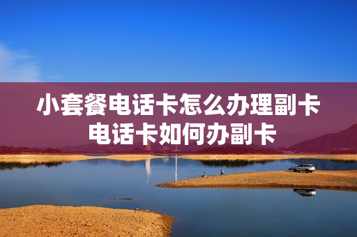 小套餐电话卡怎么办理副卡 电话卡如何办副卡