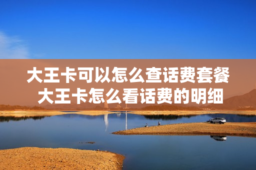大王卡可以怎么查话费套餐 大王卡怎么看话费的明细