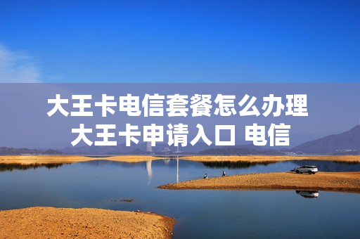 大王卡电信套餐怎么办理 大王卡申请入口 电信
