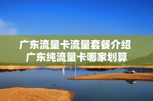 广东流量卡流量套餐介绍 广东纯流量卡哪家划算