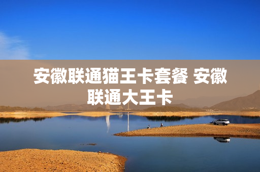 安徽联通猫王卡套餐 安徽联通大王卡