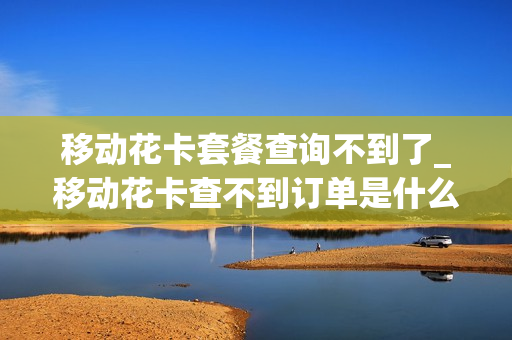 移动花卡套餐查询不到了_移动花卡查不到订单是什么情况