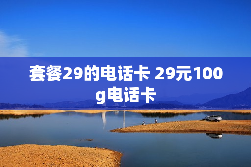 套餐29的电话卡 29元100g电话卡