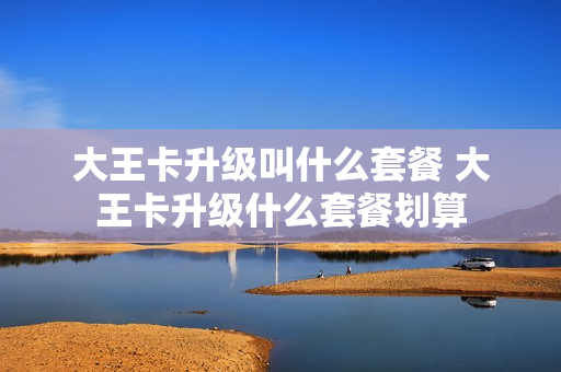 大王卡升级叫什么套餐 大王卡升级什么套餐划算