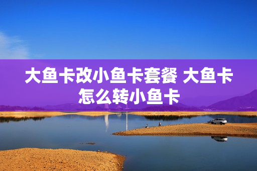 大鱼卡改小鱼卡套餐 大鱼卡怎么转小鱼卡