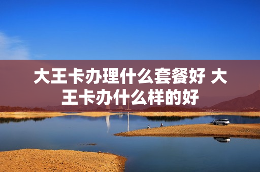 大王卡办理什么套餐好 大王卡办什么样的好