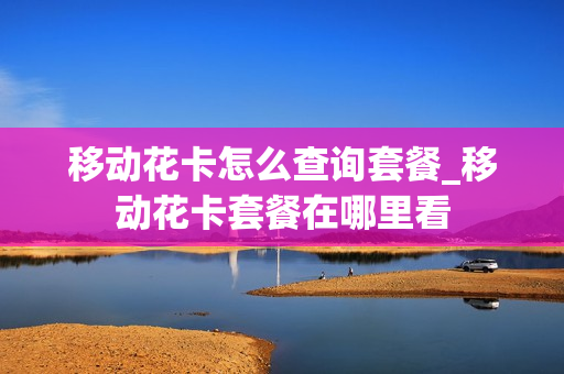 移动花卡怎么查询套餐_移动花卡套餐在哪里看