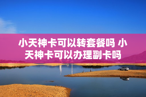 小天神卡可以转套餐吗 小天神卡可以办理副卡吗