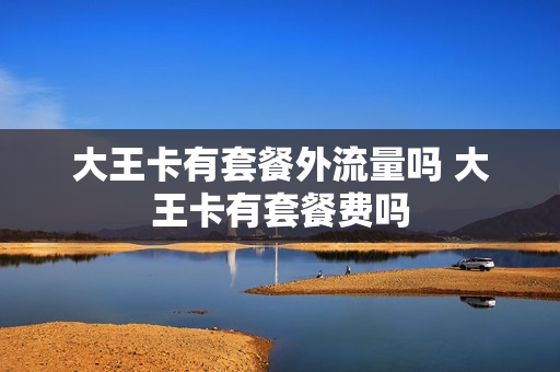 大王卡有套餐外流量吗 大王卡有套餐费吗