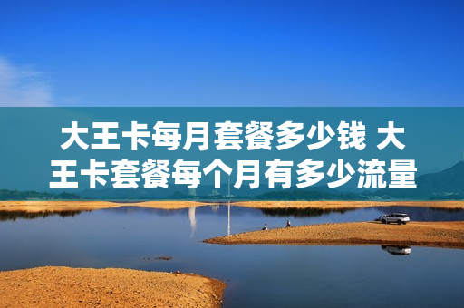 大王卡每月套餐多少钱 大王卡套餐每个月有多少流量