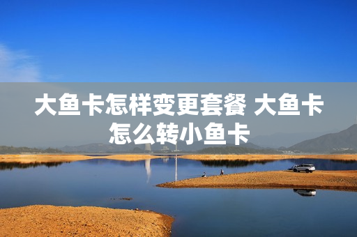 大鱼卡怎样变更套餐 大鱼卡怎么转小鱼卡